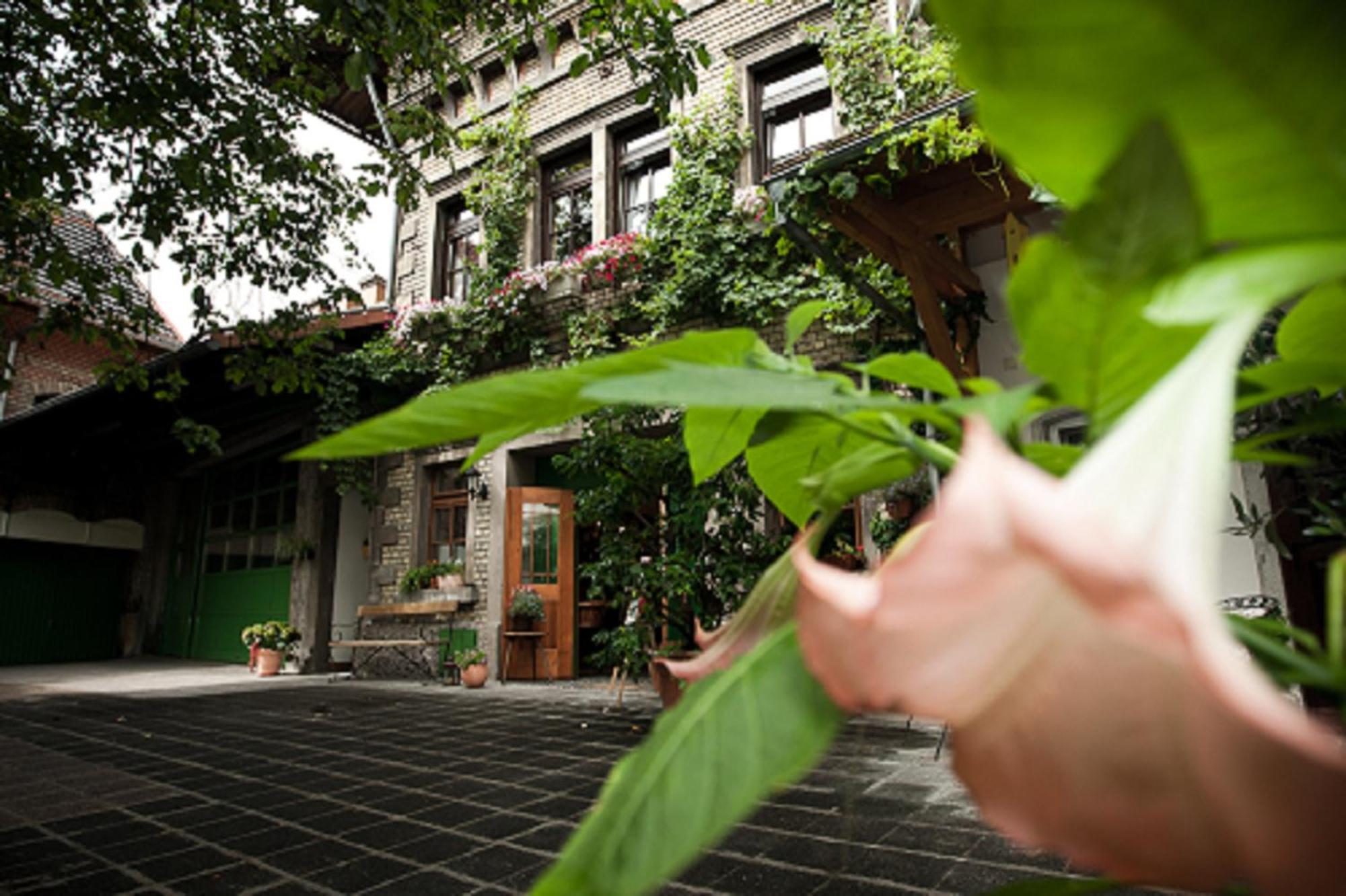 Gaestehaus Guntersblum ภายนอก รูปภาพ