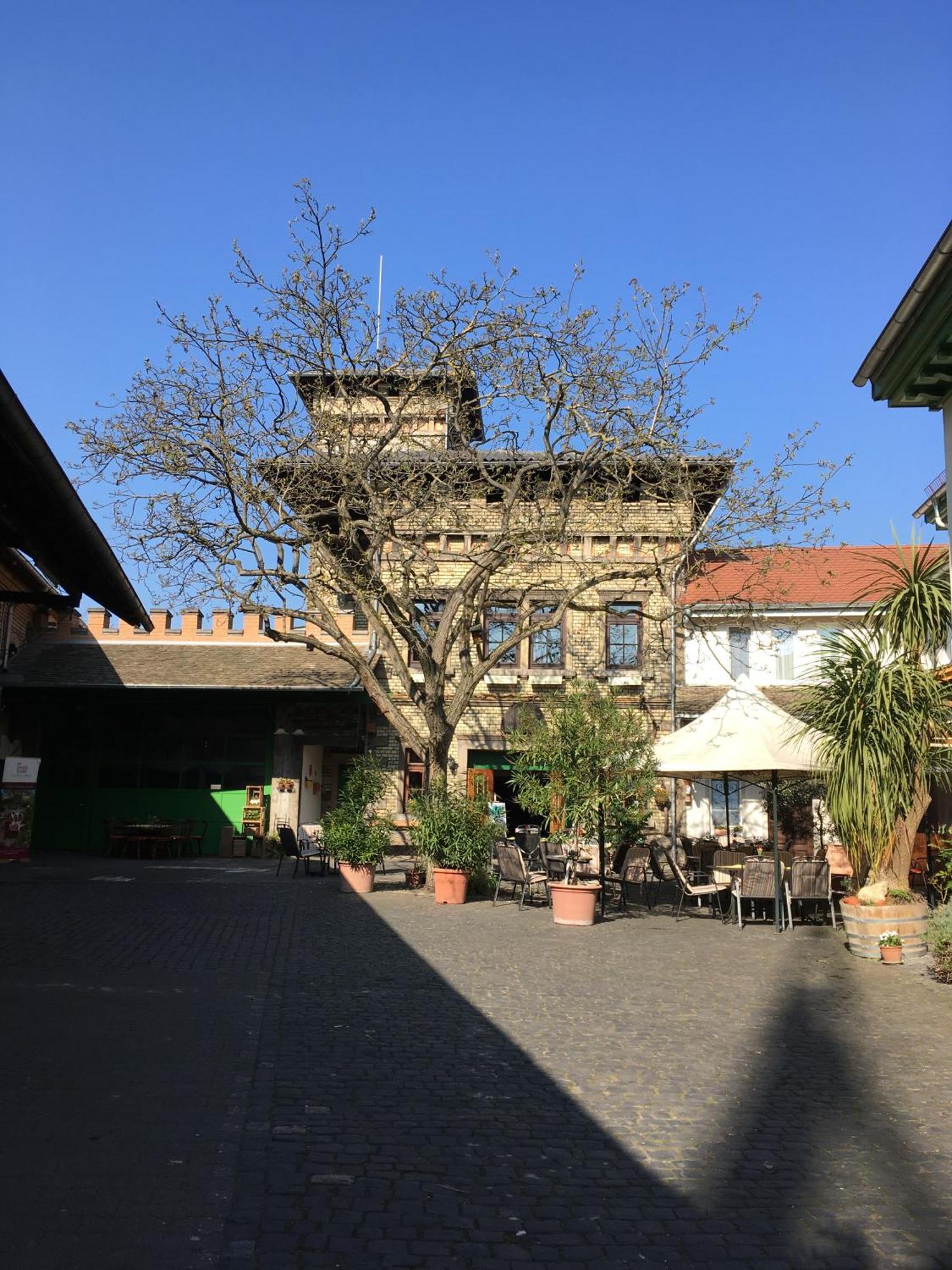 Gaestehaus Guntersblum ภายนอก รูปภาพ