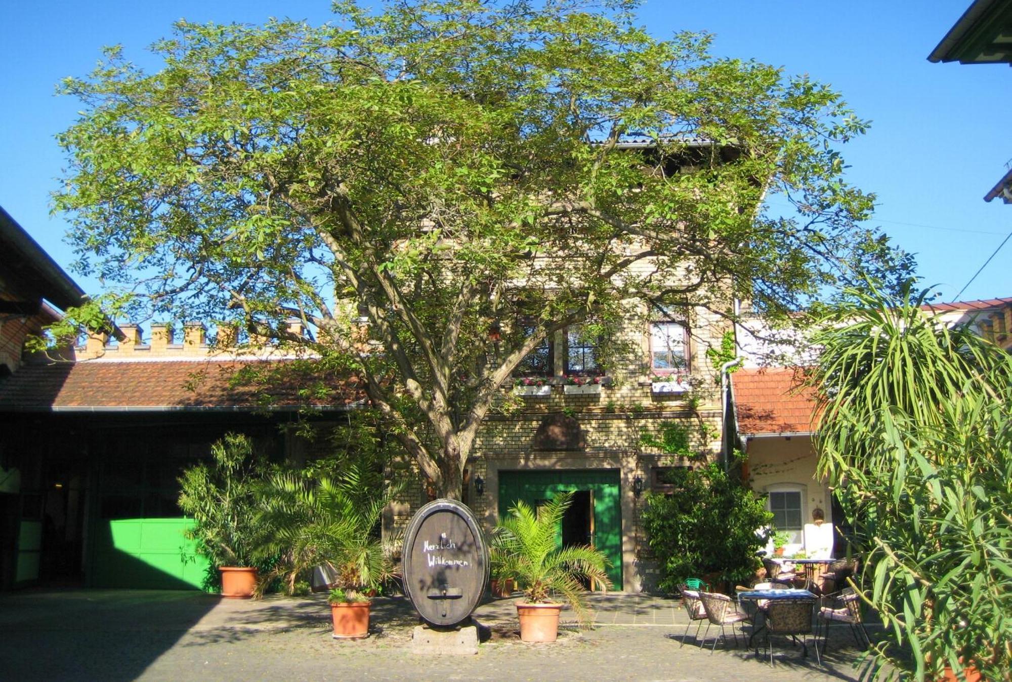 Gaestehaus Guntersblum ภายนอก รูปภาพ